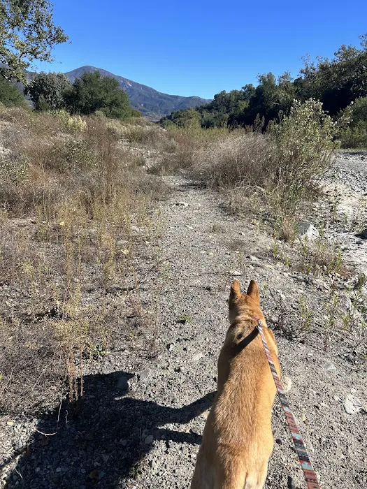 Arroyo Campground Picture 9