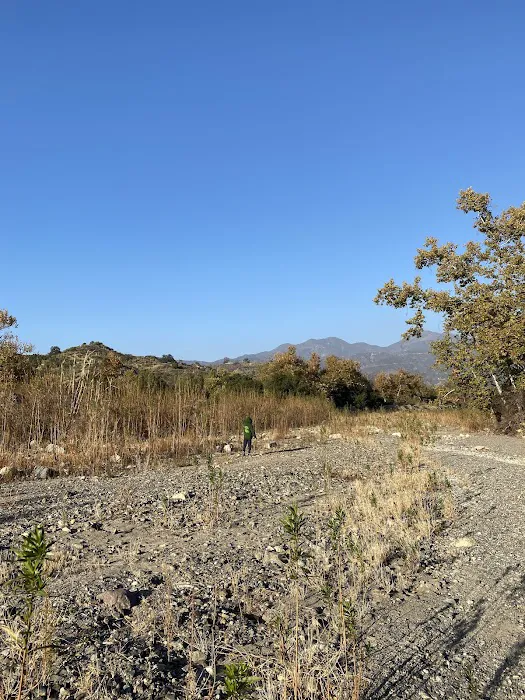 Arroyo Campground Picture 4