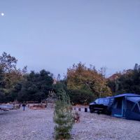 Campsite #63 ico