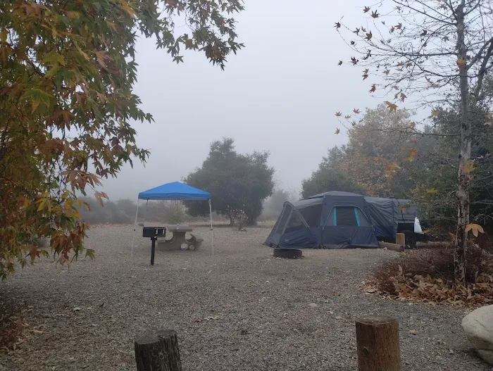 Campsite #63 Picture 7