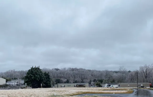 Autumn Oaks Picture 8