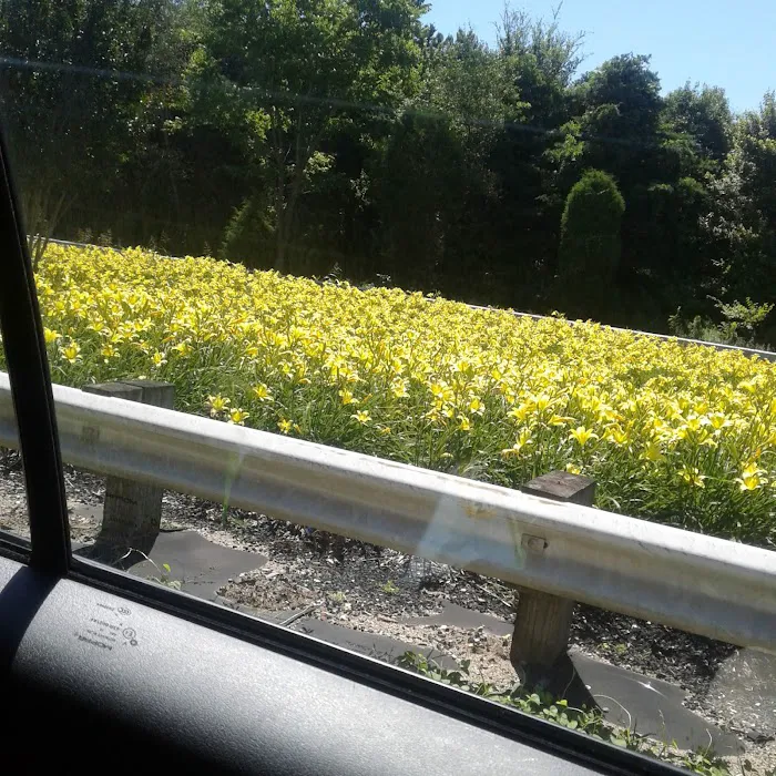 Autumn Oaks Picture 7