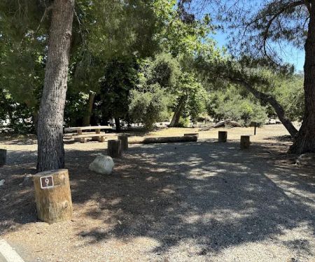 Campsite #9 Arroyo Campground