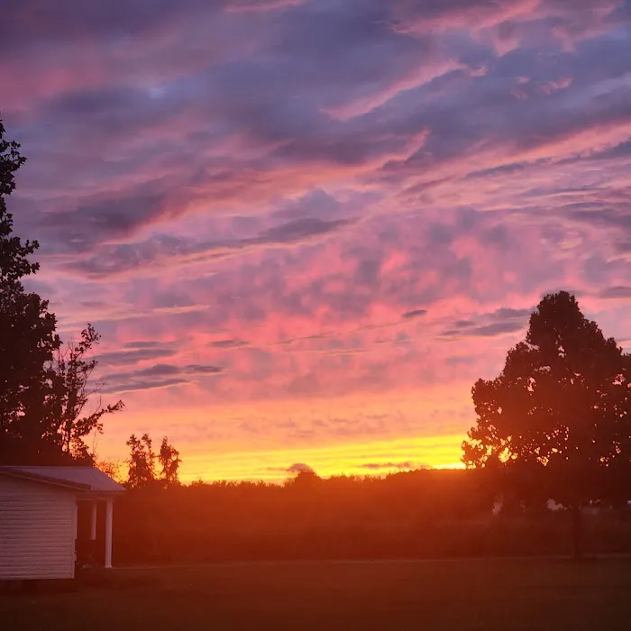 LumberJack RV Park Picture 1