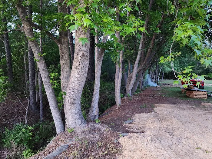 LumberJack RV Park Picture 4