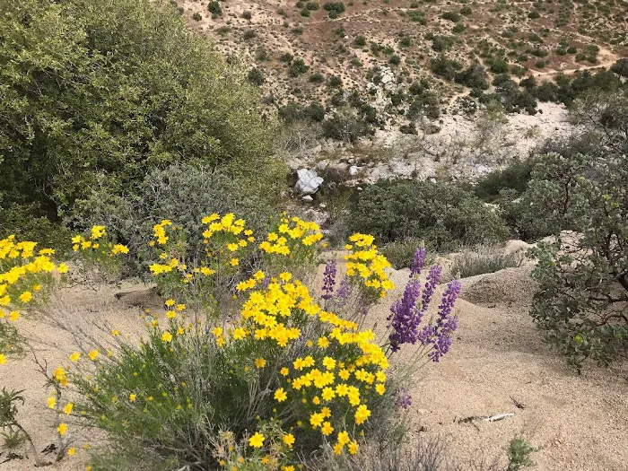 Deep Creek Hot Springs Bowen Ranch Picture 7