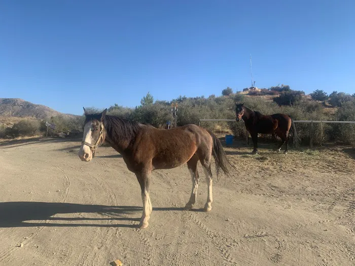 Deep Creek Hot Springs Bowen Ranch Picture 1
