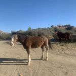 Deep Creek Hot Springs Bowen Ranch