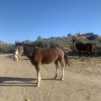 Deep Creek Hot Springs Bowen Ranch ico