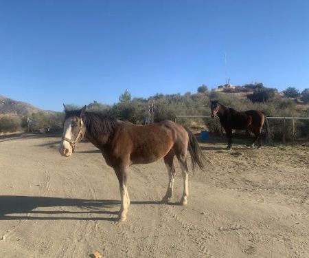 Deep Creek Hot Springs Bowen Ranch