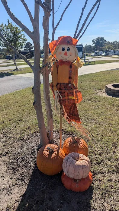 Sea Breeze RV Park Picture 3