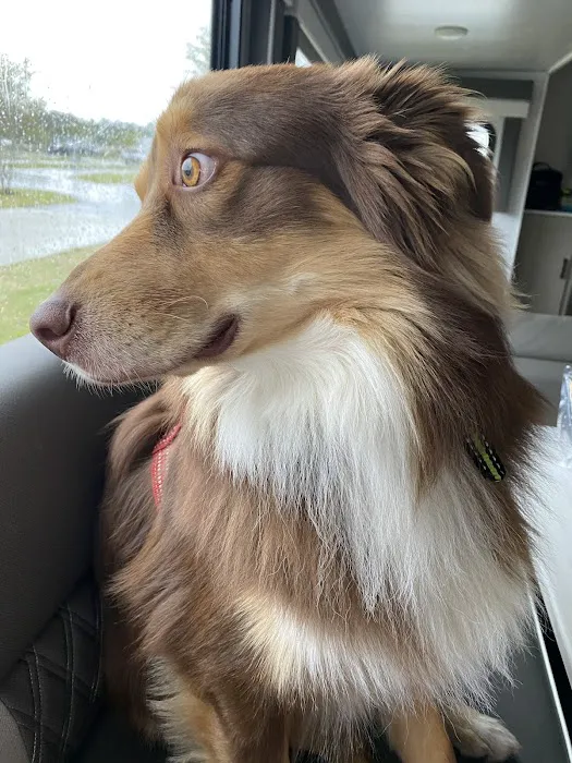 Sea Breeze RV Park Picture 2