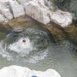 Fisherman's Group Campground