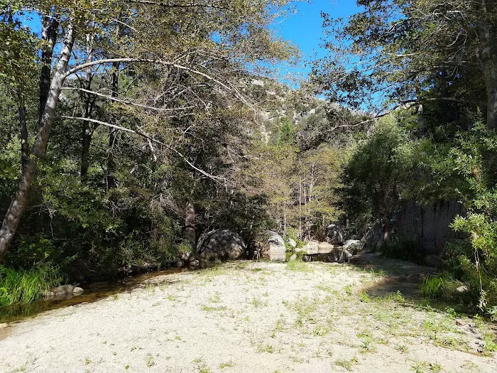 Fisherman's Group Campground Picture 8