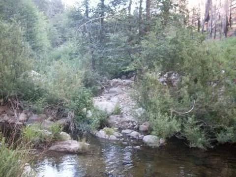 Camp Hinckley Picture 1