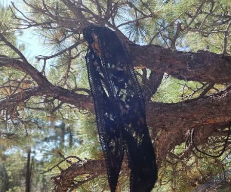 Tent Peg Group Campground