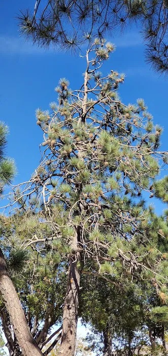 Tent Peg Group Campground Picture 3