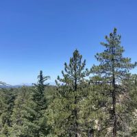 Crab Flats Family Campground ico