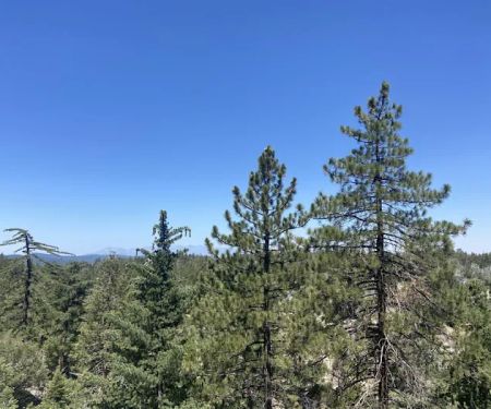 Crab Flats Family Campground