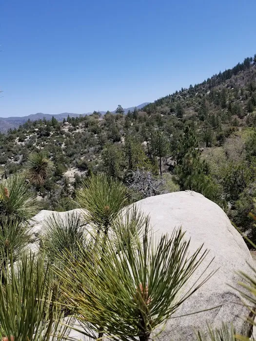 Crab Flats Family Campground Picture 2