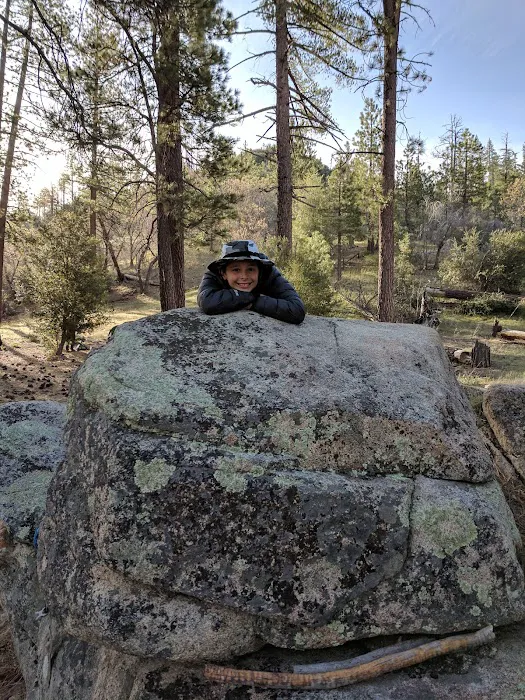 Holcomb Crossing Group Campground Picture 6