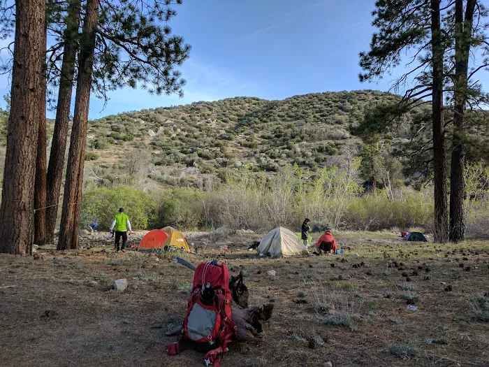 Holcomb Crossing Group Campground Picture 2