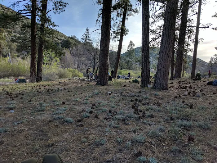 Holcomb Crossing Group Campground Picture 3