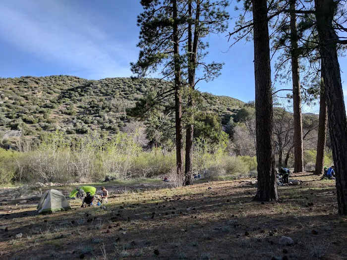 Holcomb Crossing Group Campground Picture 4