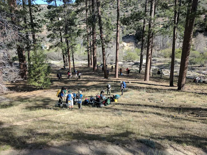 Holcomb Crossing Group Campground Picture 8