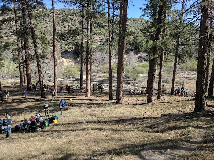 Holcomb Crossing Group Campground Picture 7