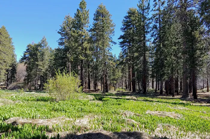 Green Valley Campground Picture 2