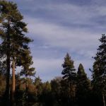 Green Valley Campground