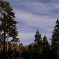 Green Valley Campground ico