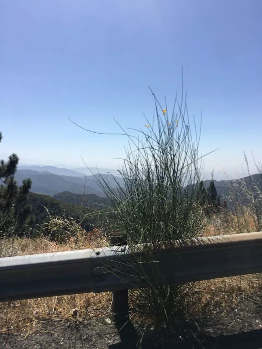 Shady Cove Group Campground Picture 2