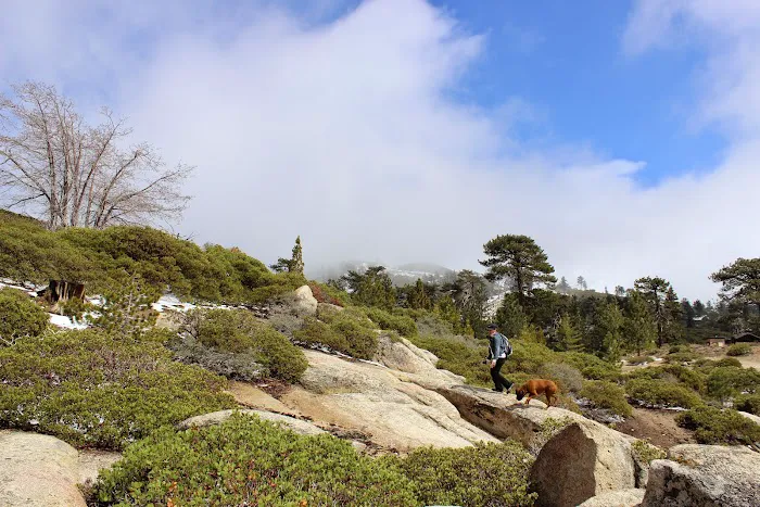 Shady Cove Group Campground Picture 7