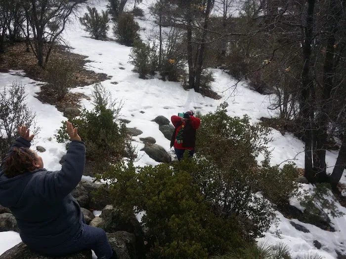 Shady Cove Group Campground Picture 5