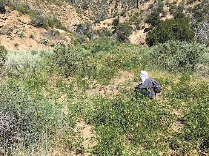 Deal Campground Picture 3