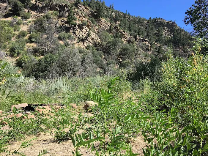 Deal Campground Picture 1