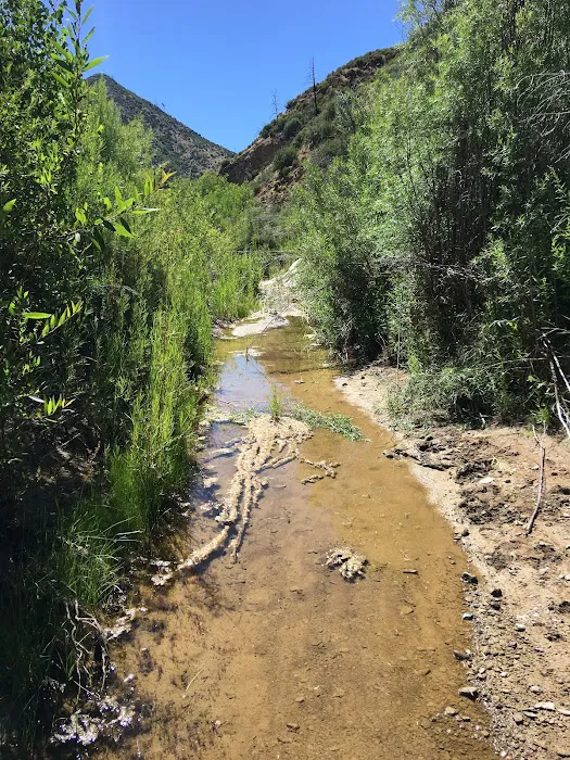 Deal Campground Picture 5