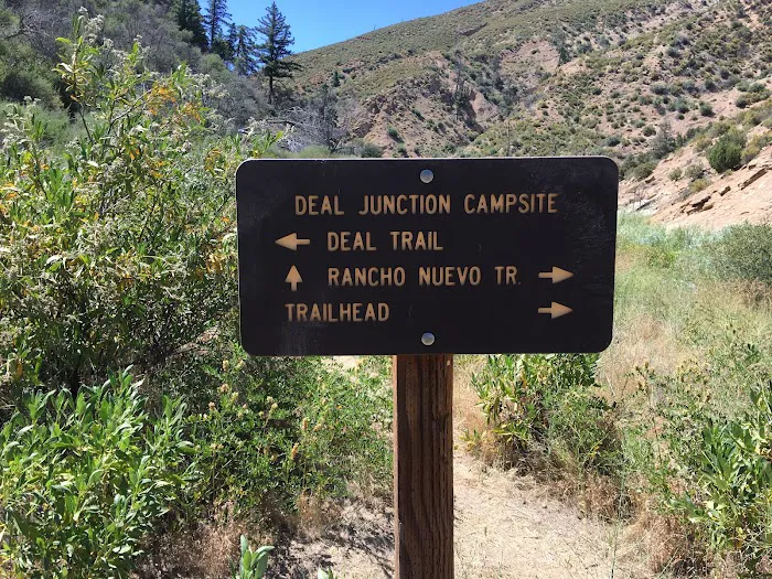 Deal Campground Picture 4