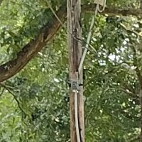 Woods Mobile Home Park ico