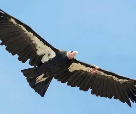 Hudson Ranch: Historic Landmark & Campground