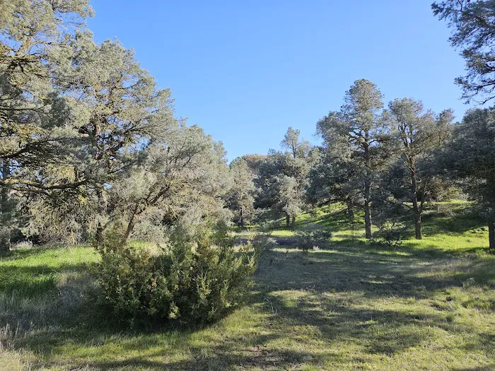 Valle Vista Campground Picture 5