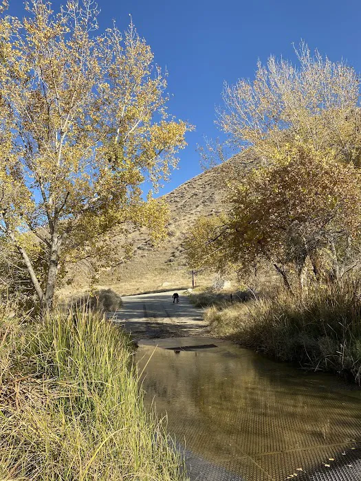 The Crossing Group Campground Picture 10