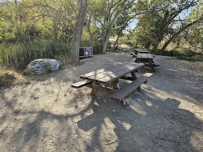 The Crossing Group Campground Picture 4