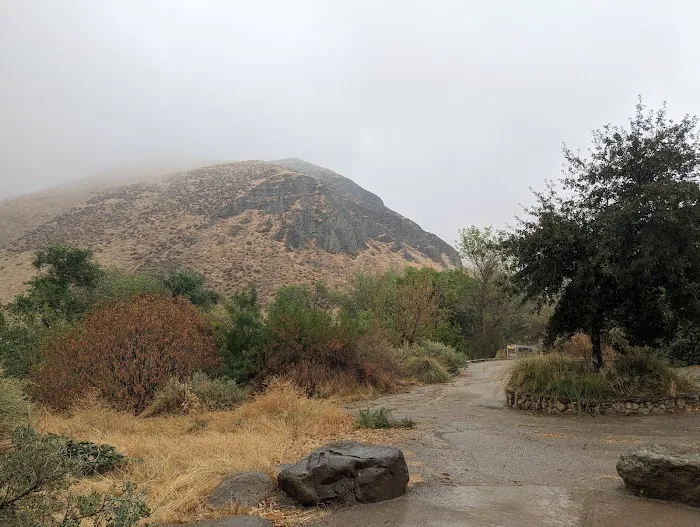 The Crossing Group Campground Picture 6