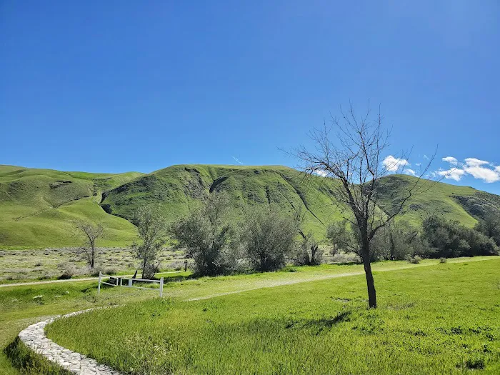 San Emigdio Campground Picture 2