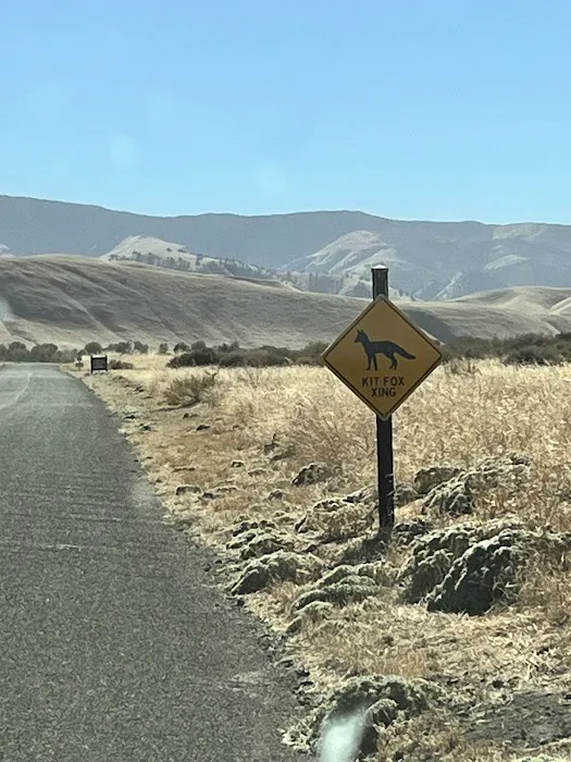 San Emigdio Campground Picture 7