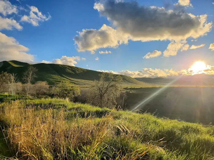 San Emigdio Campground Picture 3