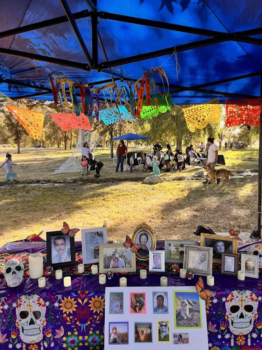 San Emigdio Campground Picture 9